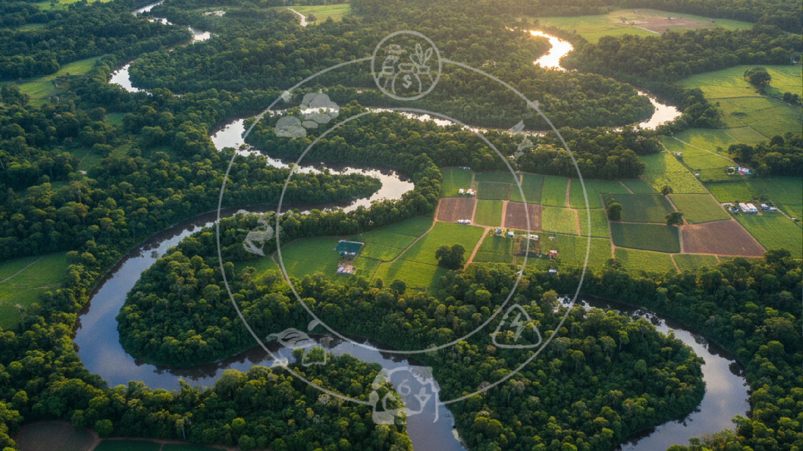 Imagem ilustrativa sobre Estudo esclarece por que o Brasil precisa de suas reservas legais – elas geram R$ 6 trilhões por ano