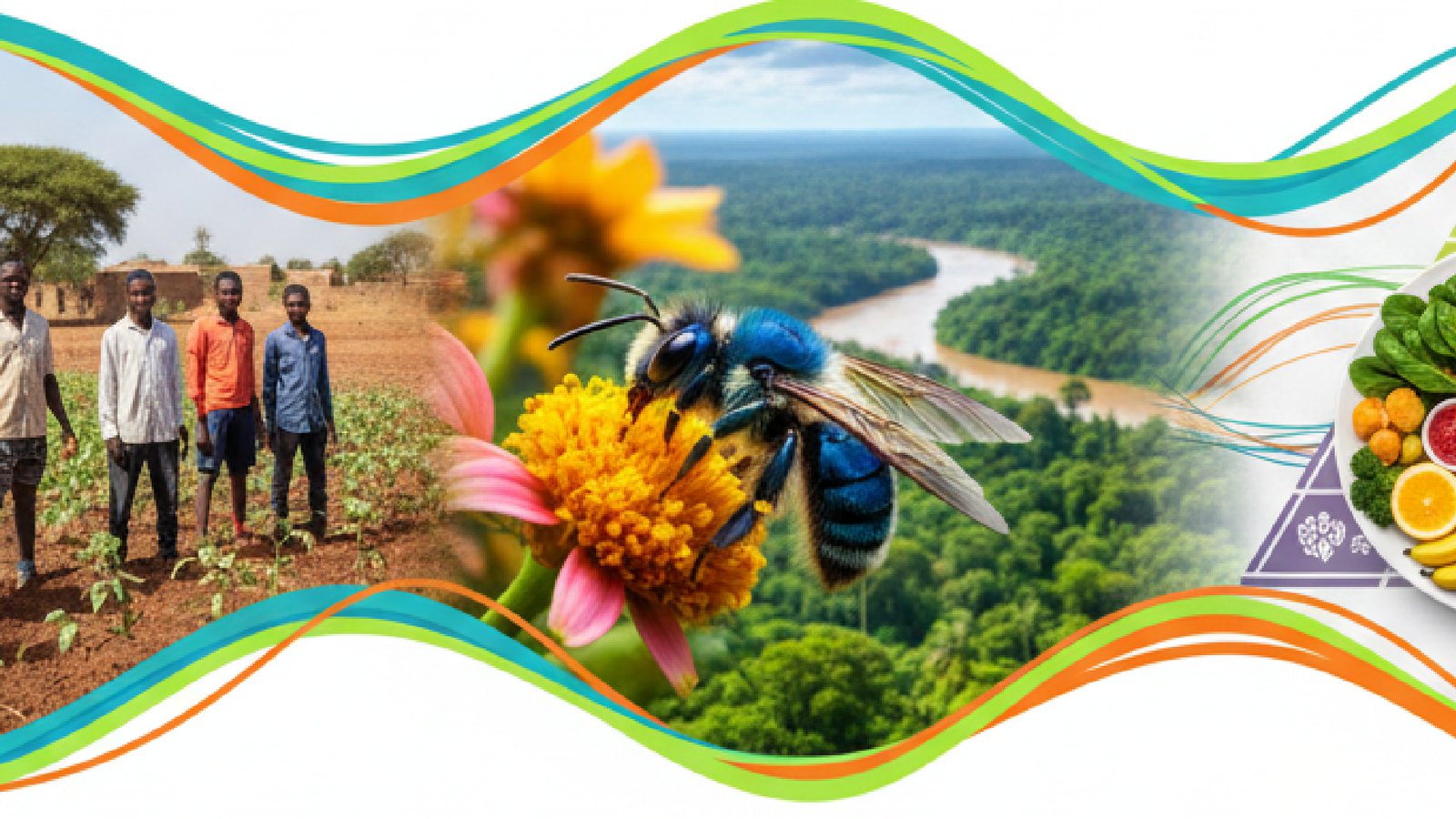 Imagem ilustrativa sobre Food Tank’s Weekly News Roundup: Senegal’s Youth Pursue Agriculture, Amazonian Bees Gain Legal Prote